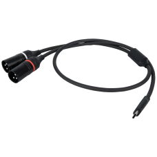 DAP FL112 - USB-C to 2 XLR/M 3P 1,5 m - FL112150